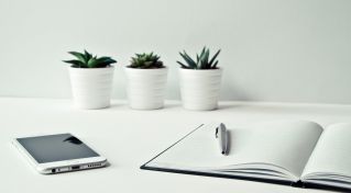 Three White Ceramic Pots With Green Leaf Plants Near Open Notebook With Click Pen on Top